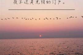 海宁调查业务